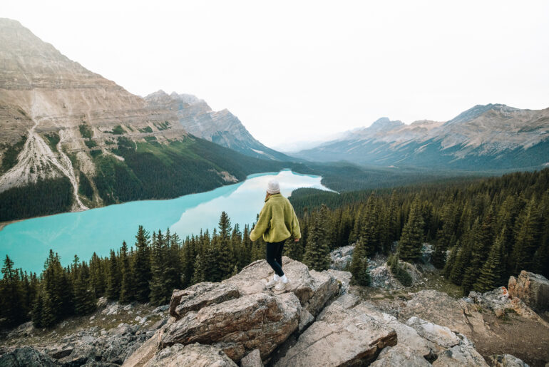 Lac Peyto au lever de soleil