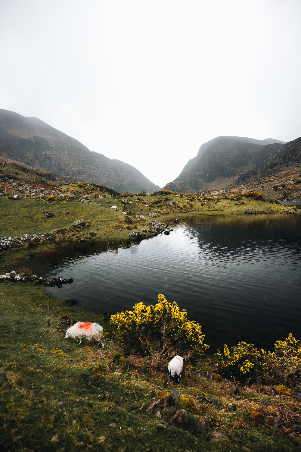 Gap of Dunloe en Irlande