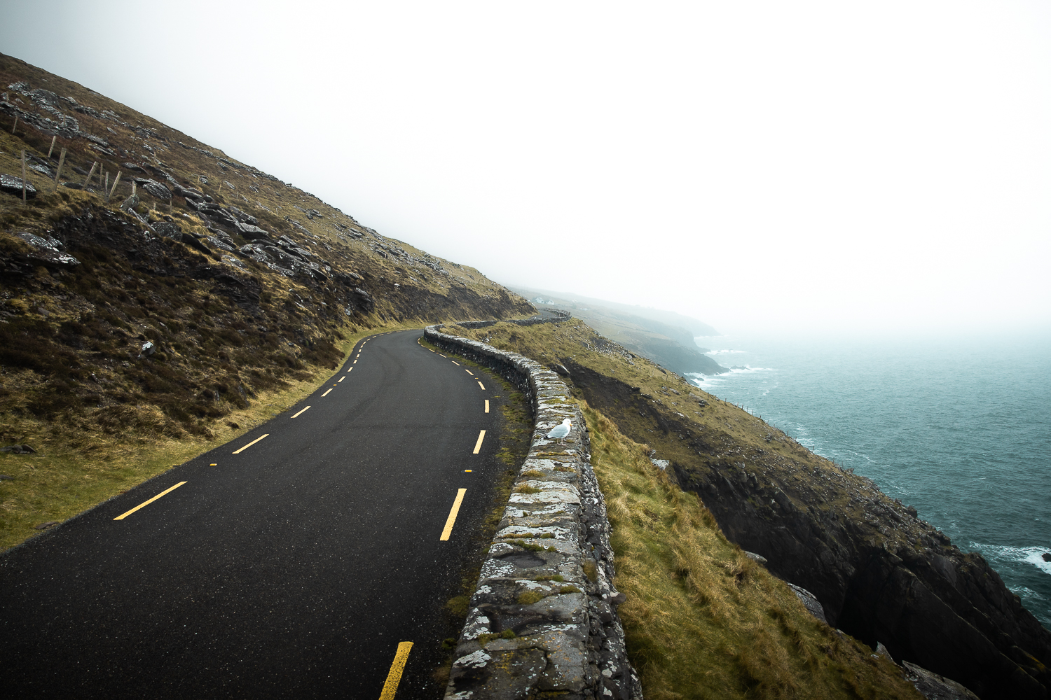 Péninsule de Dingle et Slea Head Drive