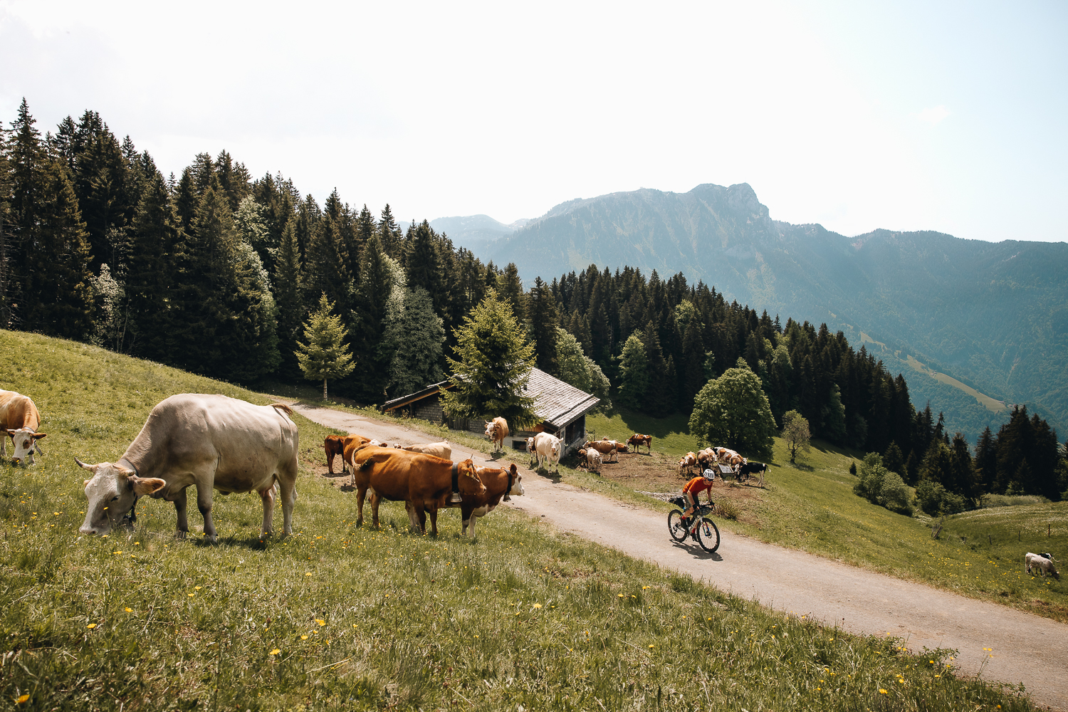 Gravel dans les Alpes Vaudoises