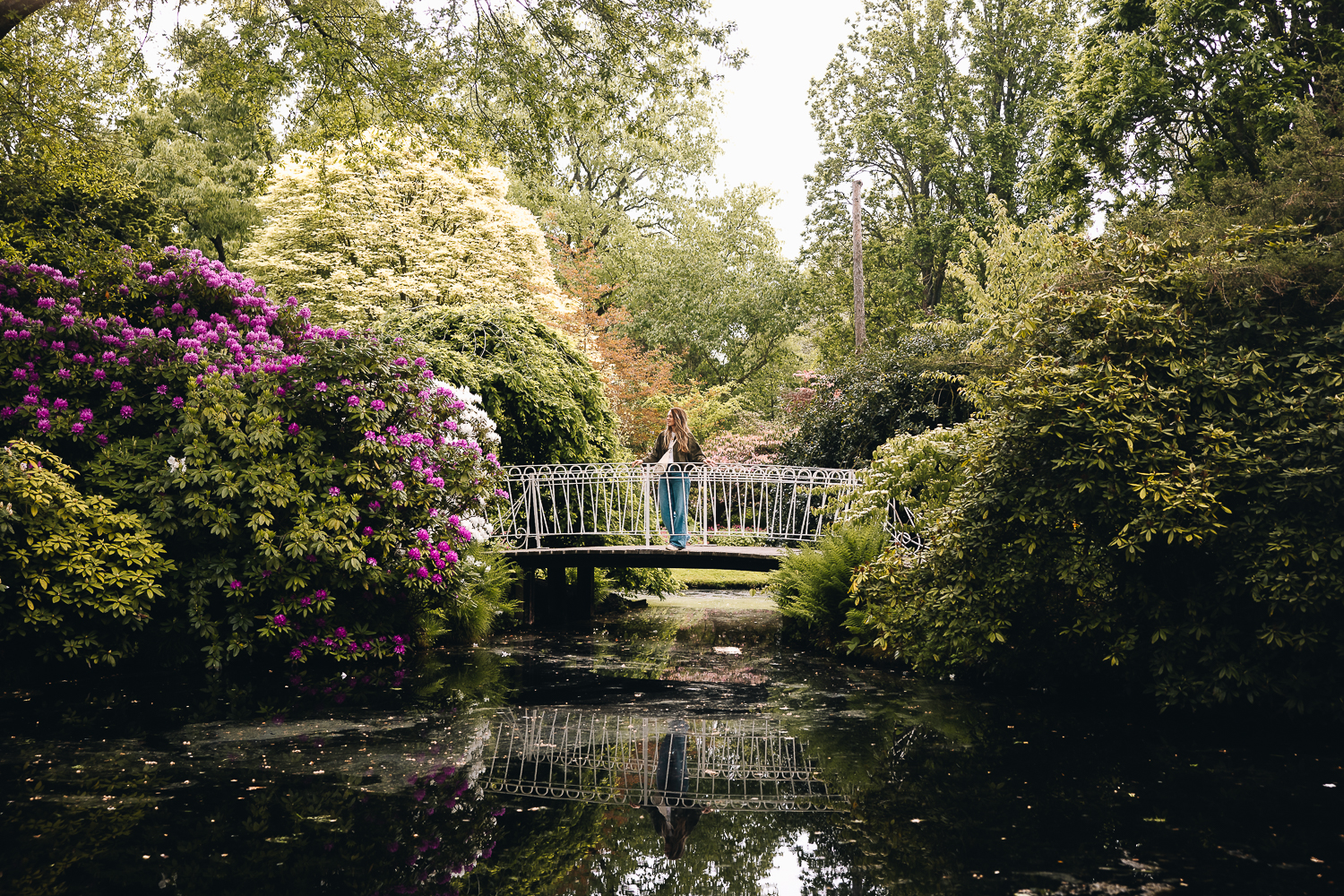 Se balader au Trompenburg Botanical Garden