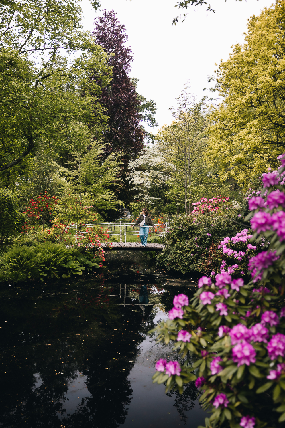 Se balader au Trompenburg Botanical Garden
