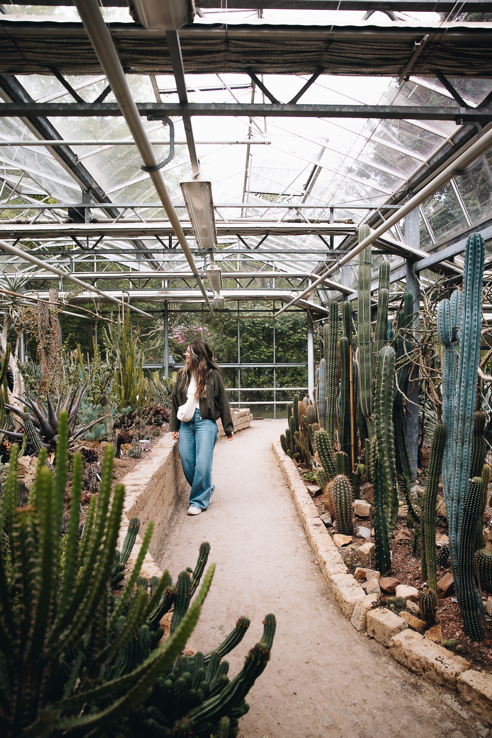 Se balader au Trompenburg Botanical Garden