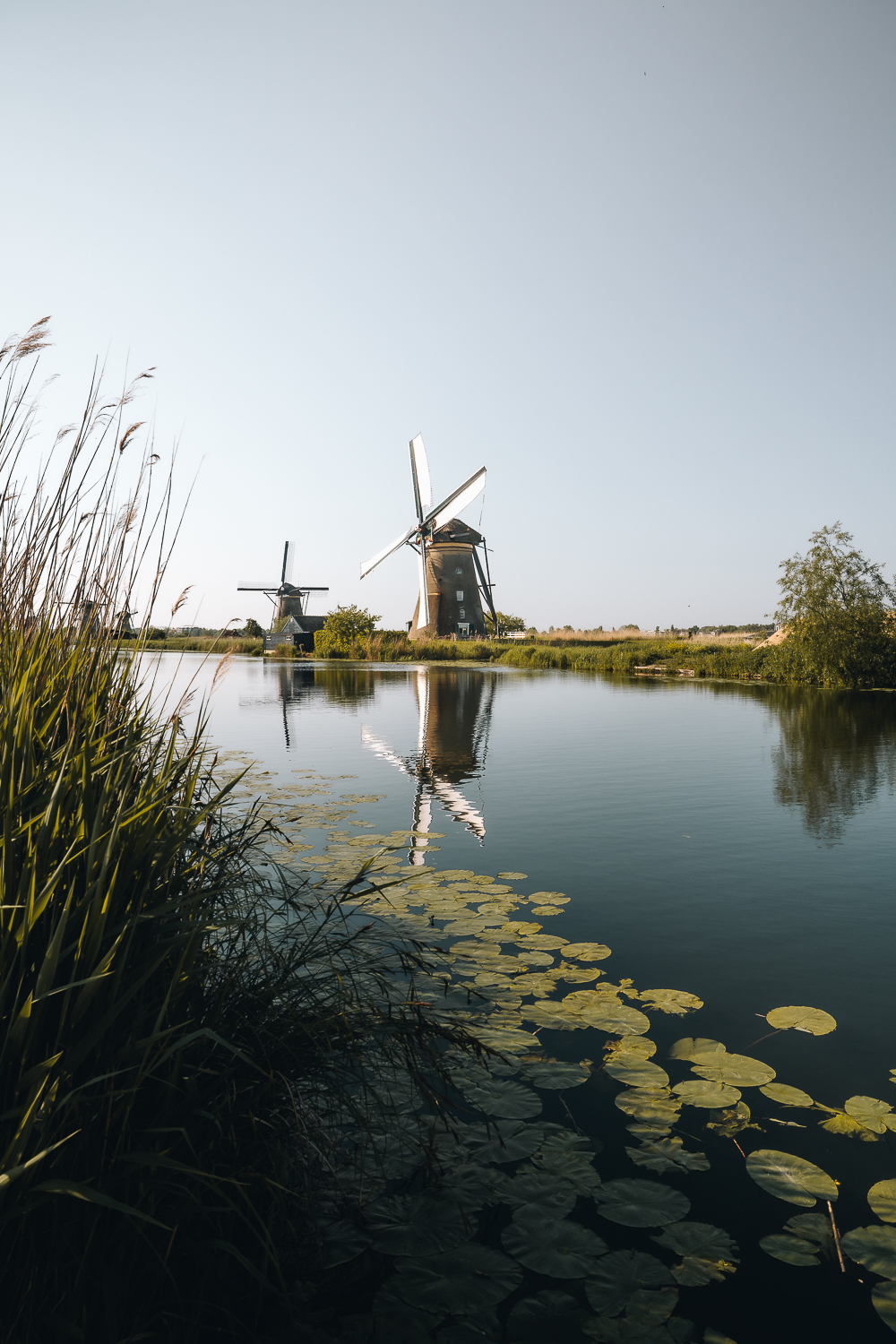Voir les moulins de Kinderdijk