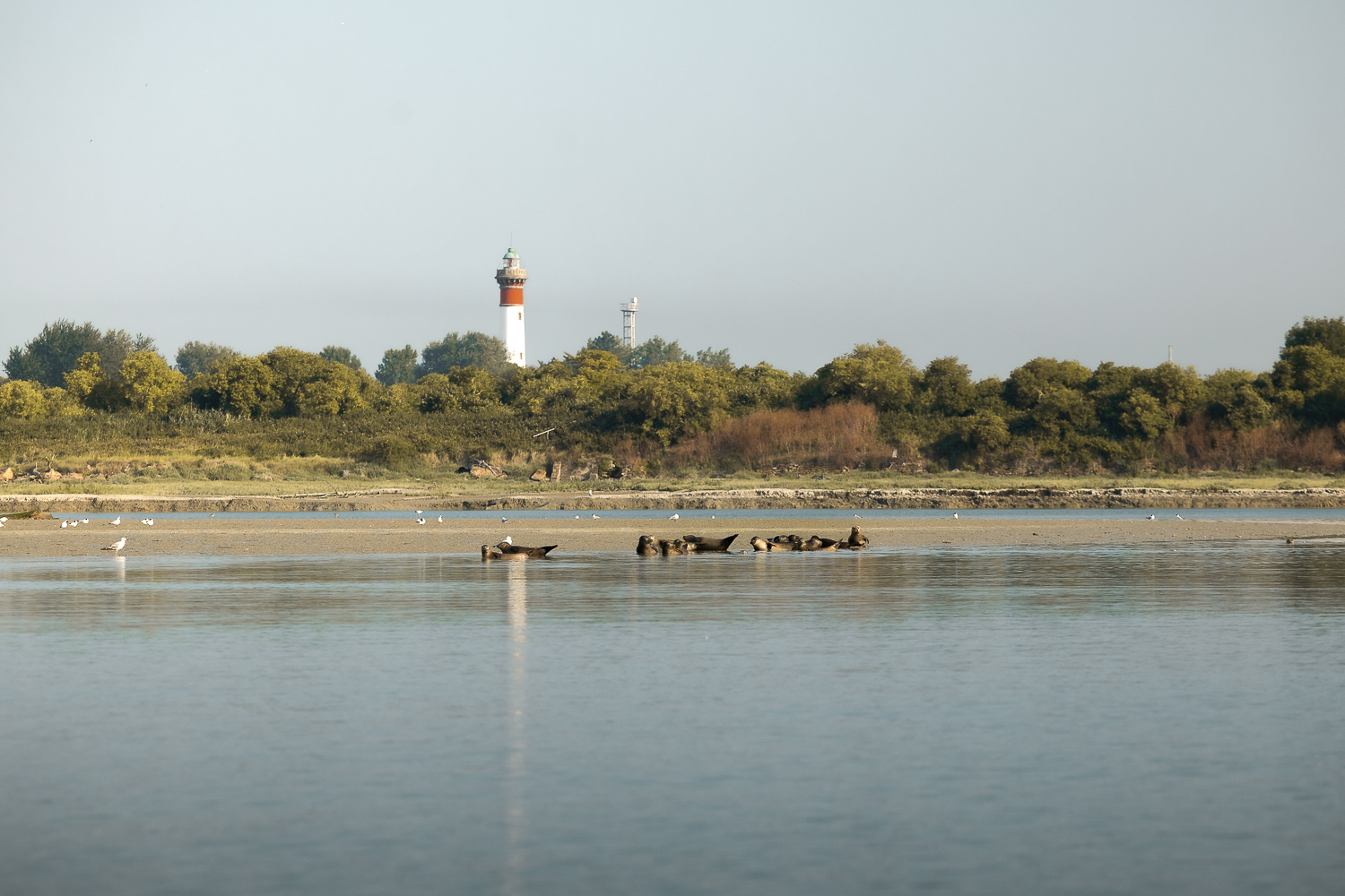 Baie de Sallenelles à Ouistreham